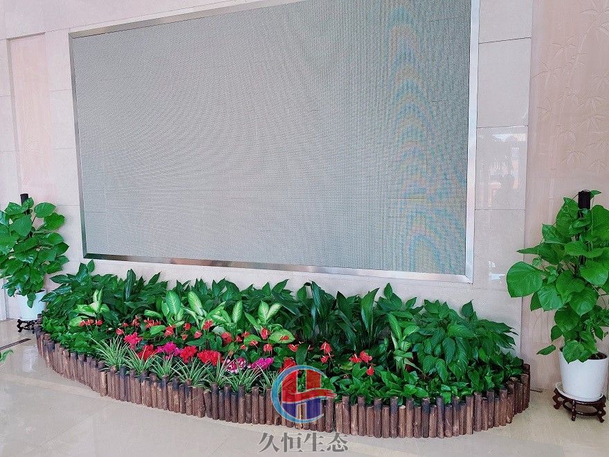 平湖企业大厅显示屏组合花卉绿植摆放