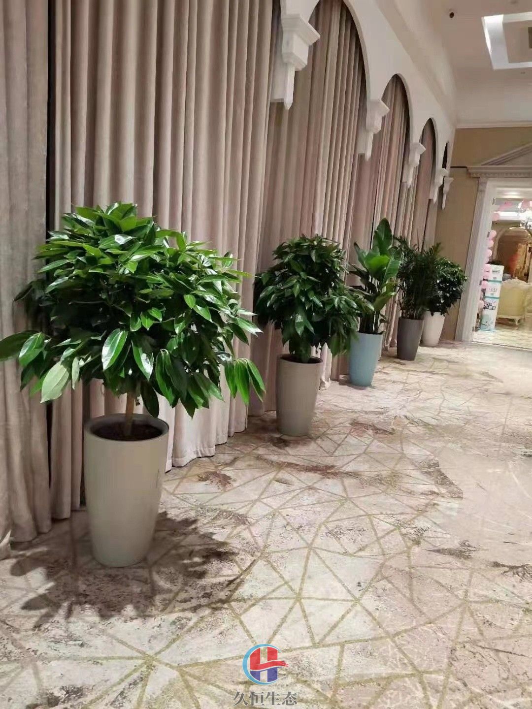 平湖酒店走廊花卉绿植摆放